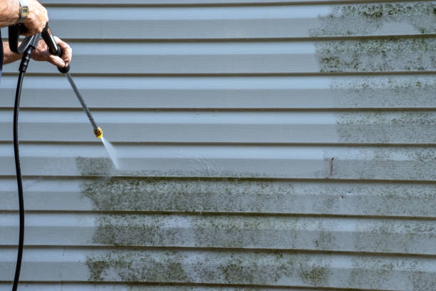 Best Aluminum Siding Installation  in Second Mesa, AZ